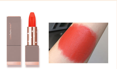 Matte Lipstick waterproof and not easy to fade
