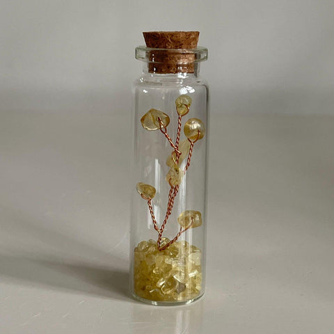 S1 Crystal rubble rafting bottle Handicrafts wooden stopper wishing glass bottle