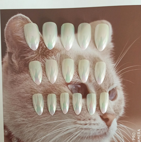 N21 Mirror-likedetachable long pointed false nails 24pcs/box with jel glue