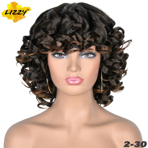 Short Hair Afro Curly Wig With Bangs Loose Synthetic Cosplay Fluffy