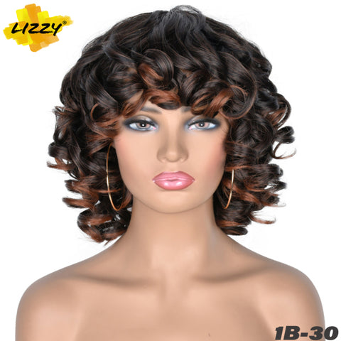Short Hair Afro Curly Wig With Bangs Loose Synthetic Cosplay Fluffy